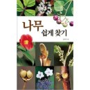진선 이미지