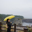 251108 제주 새섬,천지연 정방폭포, 외돌개 이미지