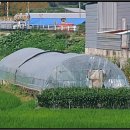 주생면 영촌마을 이미지