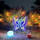 동대문 서울 달빛 이미지