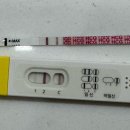 (주)쓰리람 | 임테기 역전후 쓰리라인 테스트기 사용후기