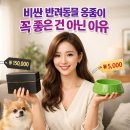 그림책으로 보는 반려동물과 보호자의 관계 | 비싼 반려동물 용품, 써보니 꼭 좋진 않더라… 현명하게 고르는 법