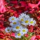 월포마을 이미지