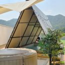 메르시 애견 펜션 이미지