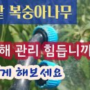리빙연구소 이미지