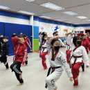 용인대 소나무향기 태권도장 이미지