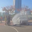 (주)뉴현대렌트카 이미지