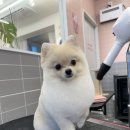 티몬이네 목욕탕 이미지