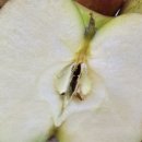 달산농장 이미지