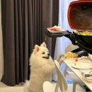 이아빌리지 이미지