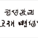 변성남 Daum카페