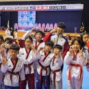 솔향태권도 네이버블로그