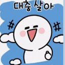 마농사진관 이미지