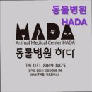 동물병원 HADA 이미지