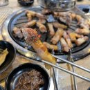 도도한돼지 티스토리