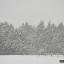 물영아리오름 이미지