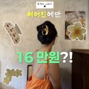 제이JAY | EMI JAY 이미 제이 : 헤어핀만 16만원치 지른 후기