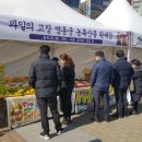 과일장터 이미지