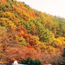 캄파슬로우 이미지
