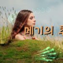 ■ 메기의 추억 (죠지 존슨) 이미지