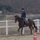 탑(TOP) 승마클럽 네이버블로그