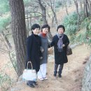 은영농원