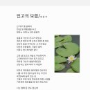 인고의 보람 이미지