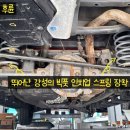 강성농장 Daum카페