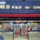 미소 우방센트럴파크 공인중개사사무소 | 송도웰카운티3단지 아파트, 이곳에 살면 생기는 여유와 즐거움 🌿