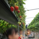 임실원광어린이집 이미지