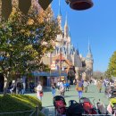 주식회사 페코스 | 도쿄 디즈니랜드 후기 놀이기구 레스토랑 간식 퍼레이드 불꽃놀이