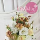 릴리맥 - 중구 세종대로 136 | 릴리맥