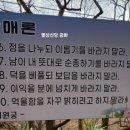 고양 백운암 마애미륵여래좌상 | 고창 선운사 도솔암 #도솔천내원궁