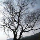 계척체육공원 이미지