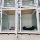 도그랭 강아지놀이방 이미지