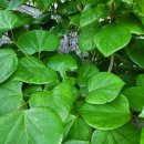 마석18리(푸르지오A) 이미지