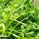 LG전자서비스센터 이미지