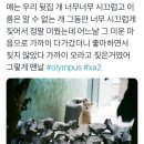 뒷집