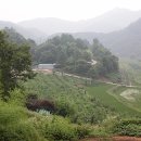 산계3 이미지