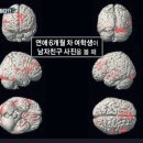 감성과학 이미지