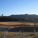 영양군 공설운동장 이미지