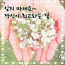 아름다운날 이미지