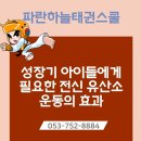점프스타태권줄넘기 이미지