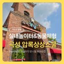 [공지] 광주근교 아이와 가볼만한곳 곡성 압록상상스쿨 실내놀이터 후기