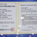 미스돼지 이미지