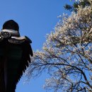 전주향교 | 전주 가볼만한곳 _ 당일치기 여행코스 ( 평화와평화 , 멘야케이 , 전주향교 , 전주한옥마을 )