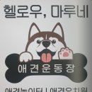 헬로우, 마루네 애견운동장 이미지