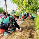 충원대로 이미지