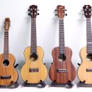 통통 튀는 통기타 연주 이미지