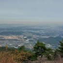 양촌리.동양촌 이미지